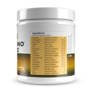STAMINO FORCE POWDER